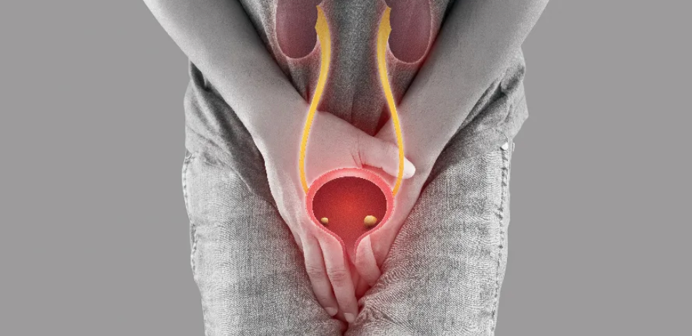 İdrar Yolu ve Mesane Enfeksiyonu İllüstrasyonu